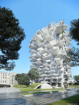 Arbre Blanc France - Arc en Rêve Bordeaux Architecture Center