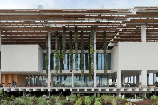 Pérez Art Museum Miami (PAMM)