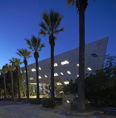 Issam Fares Institute