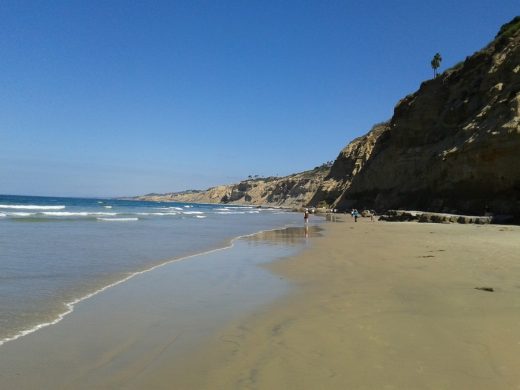 Salk Institute