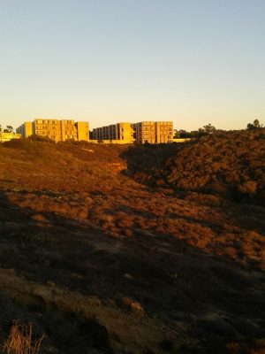 Salk Institute