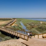 Tagus Linear Park