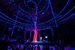 Arboreal Lightning Camden Roundhouse London