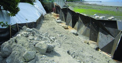 Metamorphous Seawall