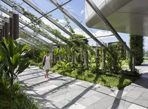 Lady Cilento Children’s Hospital