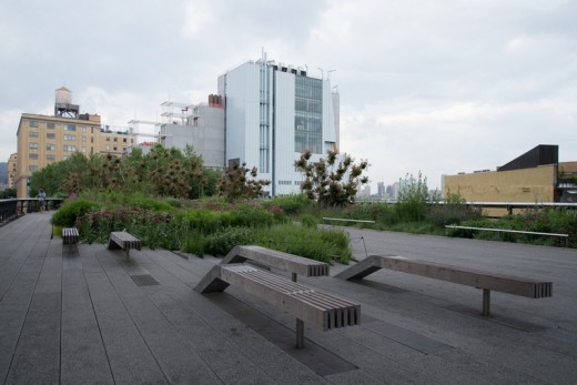 New Building for the Whitney Museum of American Art