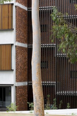 Finlayson Street Apartments Sydney