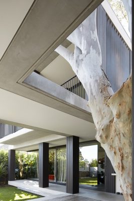 Hopetoun Avenue House in Vaucluse