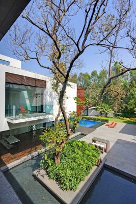 Three Trees House in New Delhi