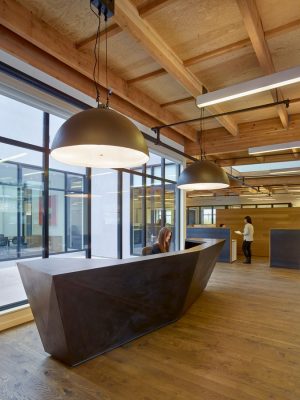 New Open Office Space in Mill Valley