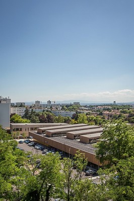 Hacine Cherifi Gymnasium