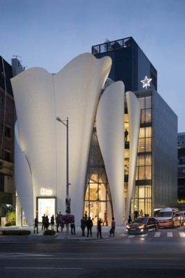 Christian Dior Flagship Store