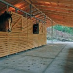 Horse Stable in Bío Bío