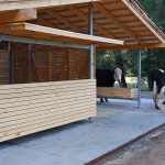 Horse Stable in Bío Bío