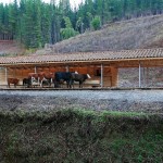 Horse Stable in Bío Bío