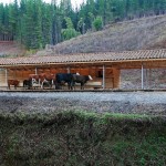 Horse Stable in Bío Bío