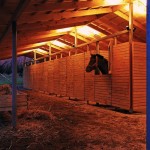 Horse Stable in Bío Bío