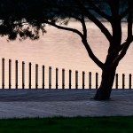 Paprocany Lake Walkway