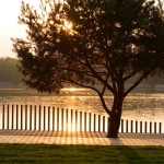 Paprocany Lake Walkway