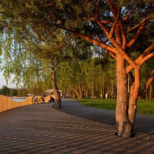 Paprocany Lake Walkway