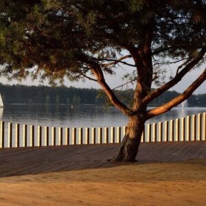 Paprocany Lake Walkway