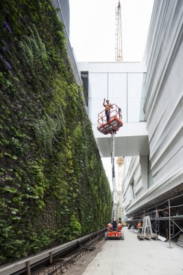 SFMOMA Building Expansion