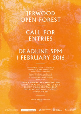 Jerwood Open Forest Design Competition