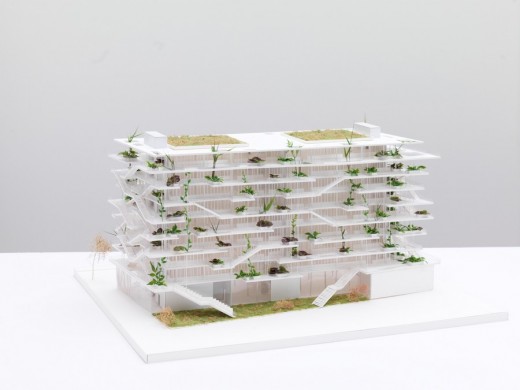 Offices with Terraces competition winner