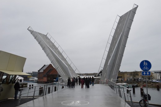 Butterfly Bridge 