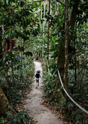 Cape Tribulation House 