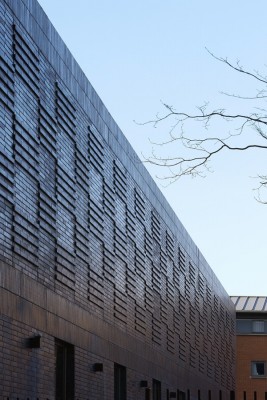 Building at 21 Higher Cambridge Street