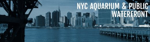 NYC Aquarium & Public Waterfront Competition 2016