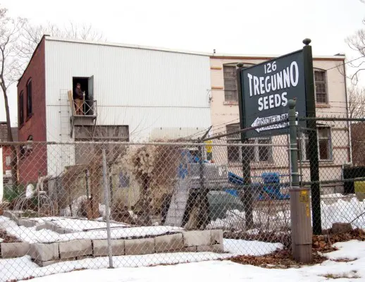 The Seedworks Urban Offices