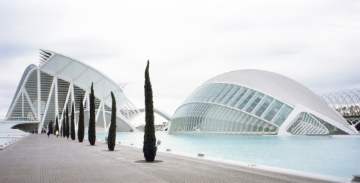 The City of Art and Sciences - Museums Architecture Book