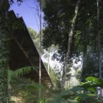 Sheter @ Rainforest in Malaysia