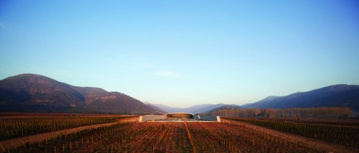 The Winery at VIK