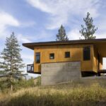 Pine Forest Cabin in Washington