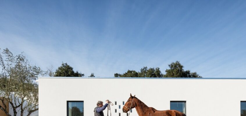 Vineyard House in Montijo Property