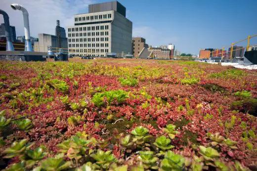 Centre for Sustainable Development