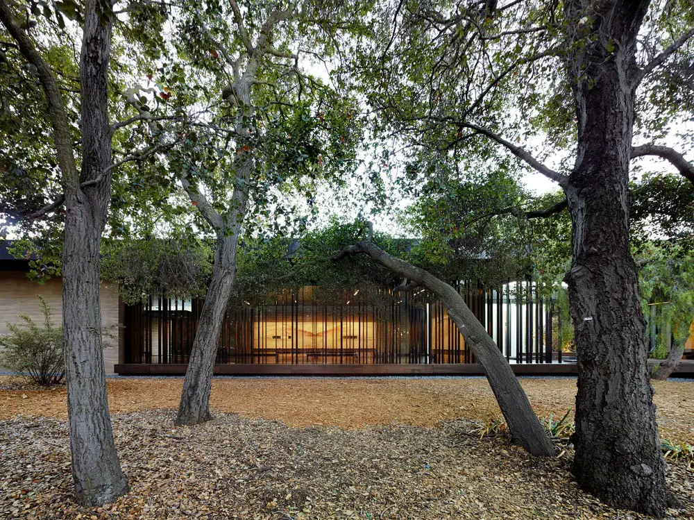 Spiritual Retreat on the Stanford Campus