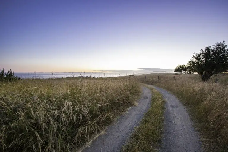 Eagle Point House San Juan Island earchitect