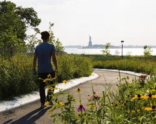 The Hills on Governors Island NY