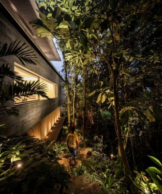 Jungle House