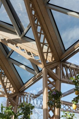 Maggie’s Centre Manchester roof structure