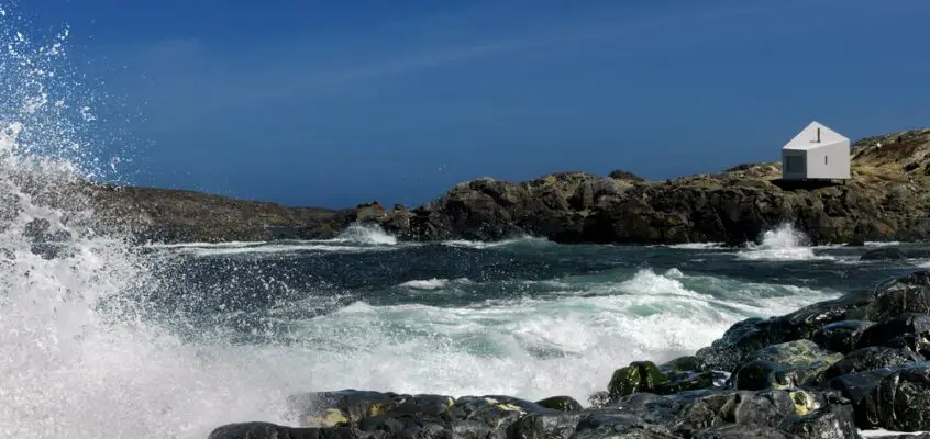 Squish Studio on Fogo Island