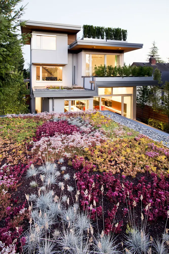 Green Roofs Design and Installation