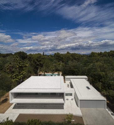 House Between the Pine Forest