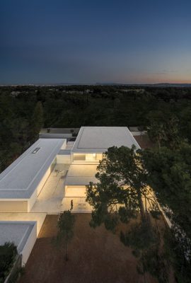 House Between the Pine Forest