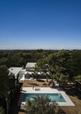 House Between the Pine Forest