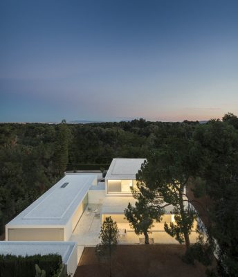 House Between the Pine Forest